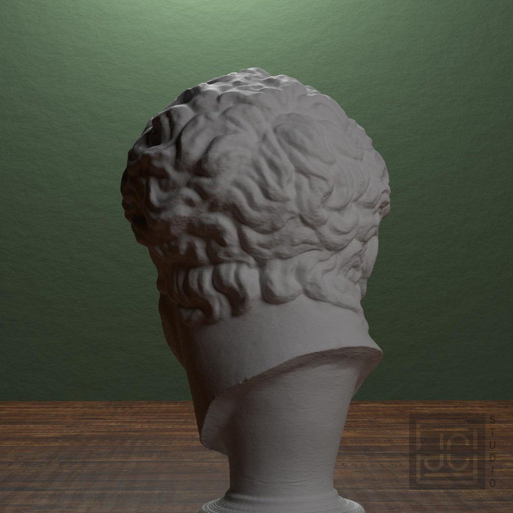 Head supplemental reference photo 3