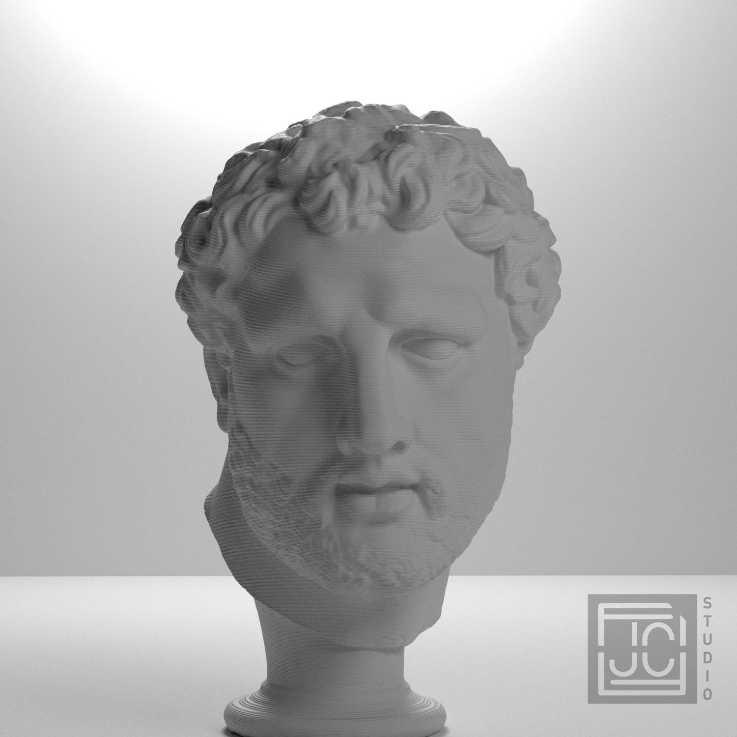 Head supplemental reference photo 5