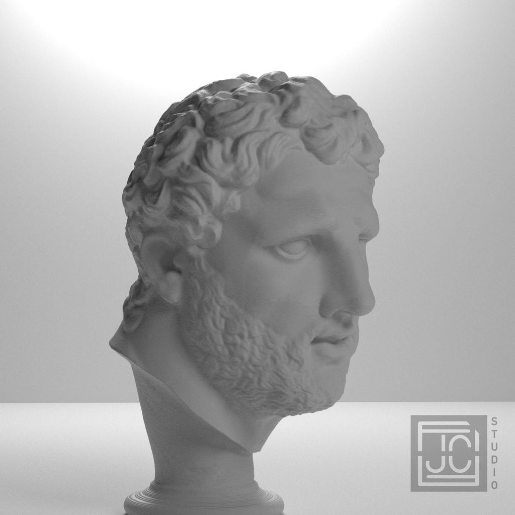 Head supplemental reference photo 6