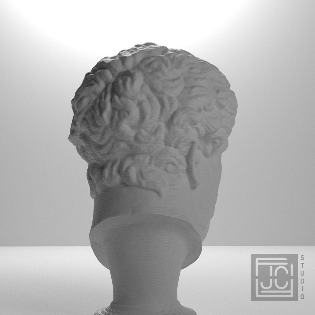 Head supplemental reference photo 8