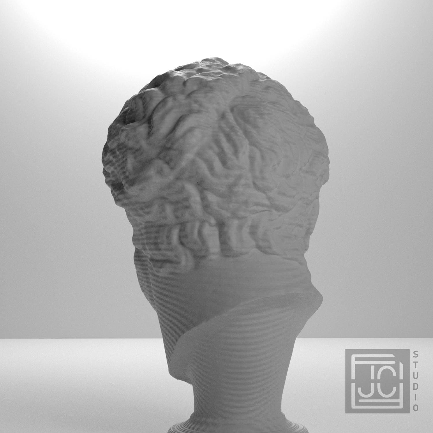 Head supplemental reference photo 9