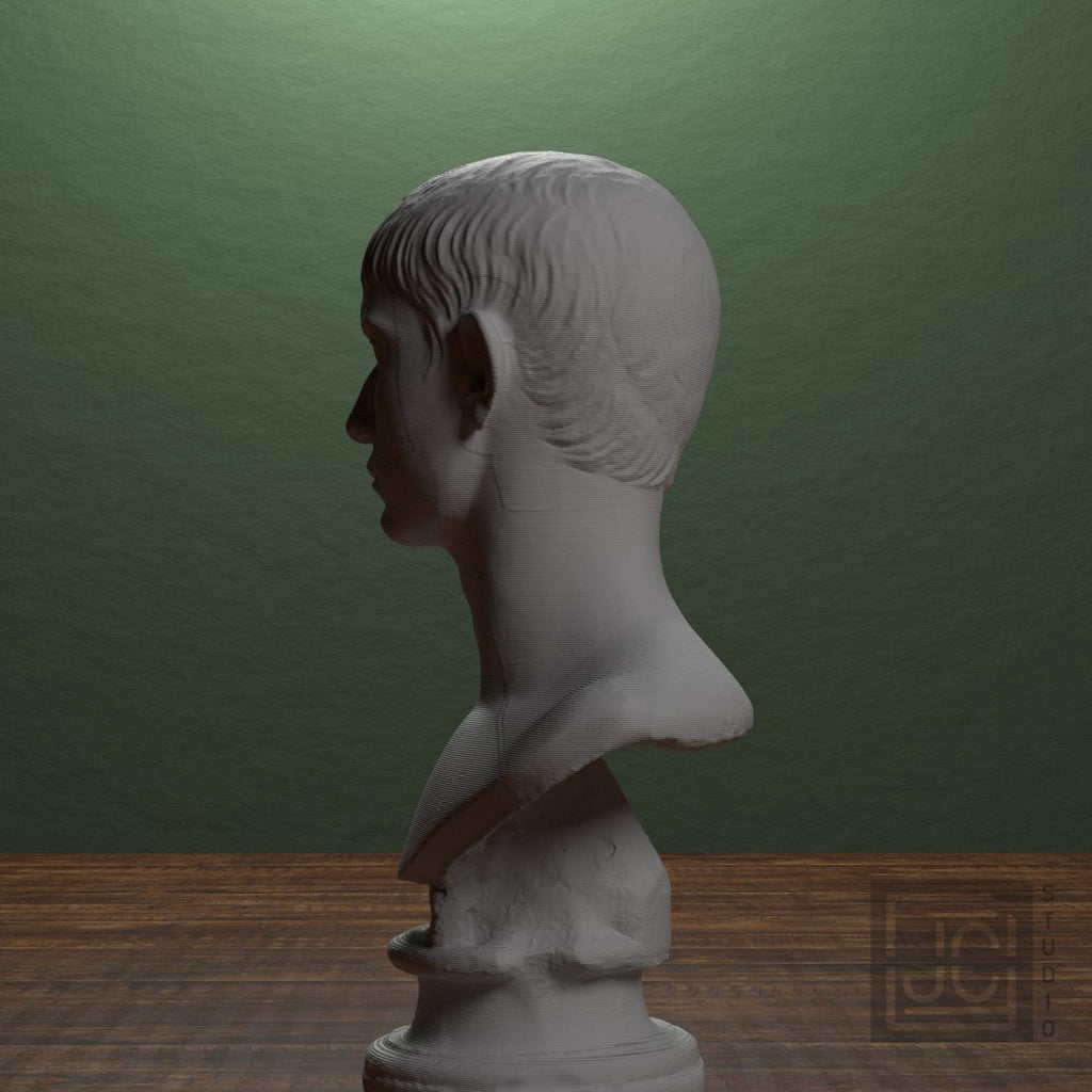 Young Man with Short Hair supplemental reference photo 1