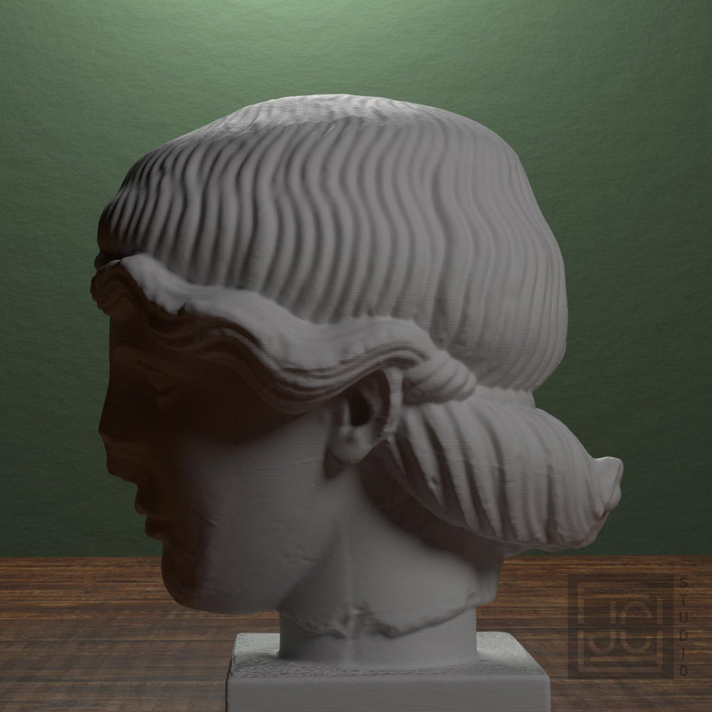 Head of Orpheus supplemental reference photo 4