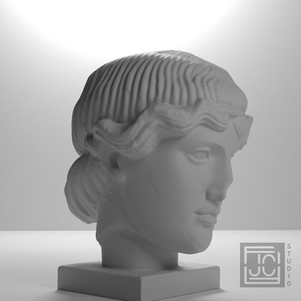 Head of Orpheus supplemental reference photo 6