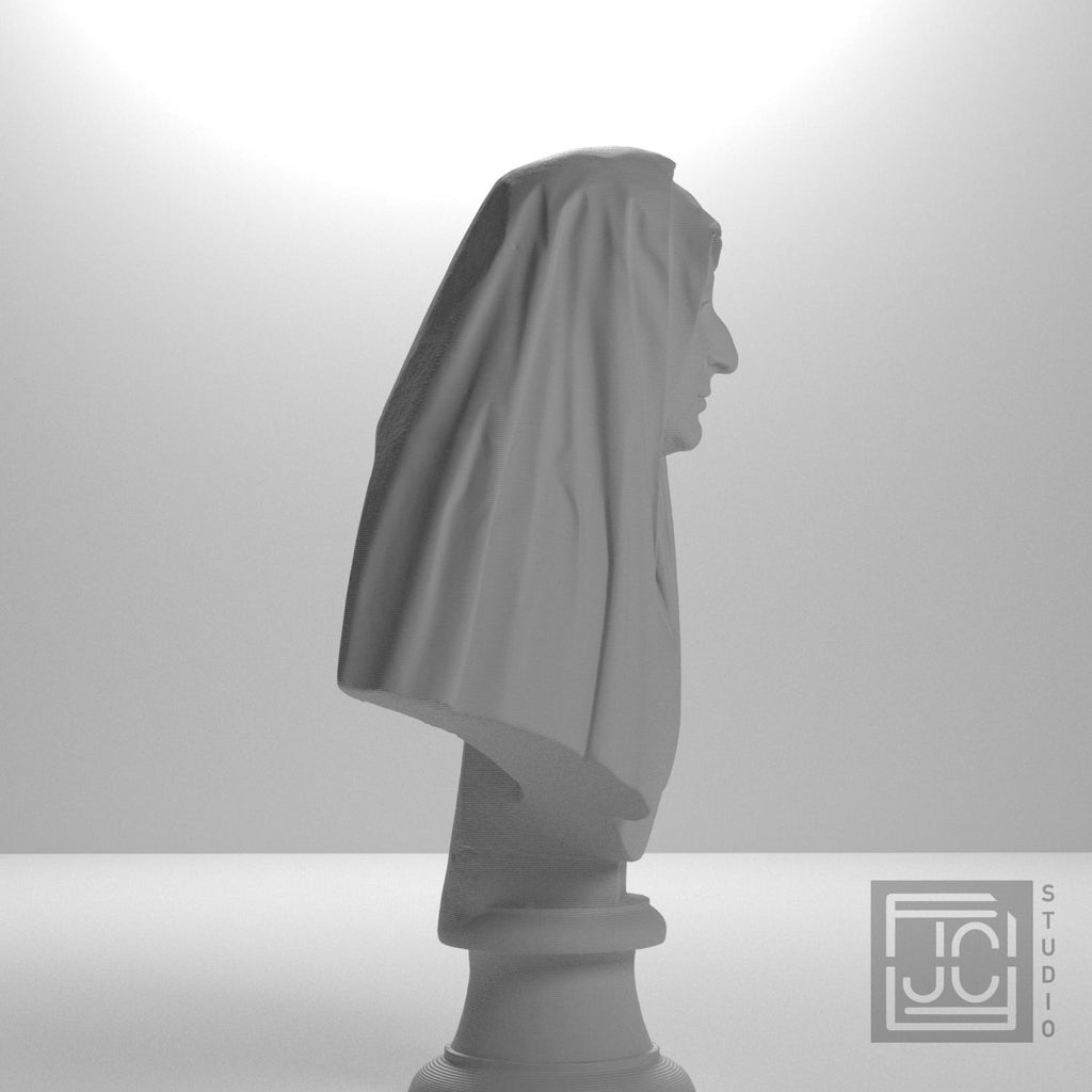 Bust of Camilla Barbadori supplemental reference photo 7