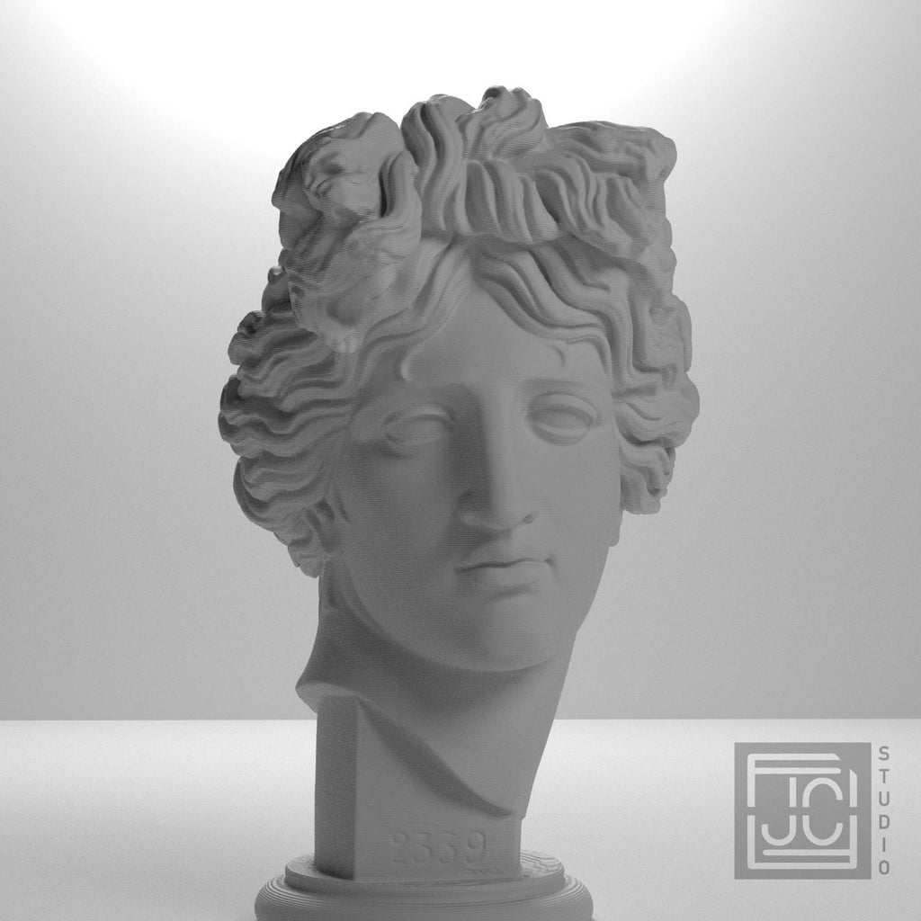 Apollo Giustiniani supplemental reference photo 5