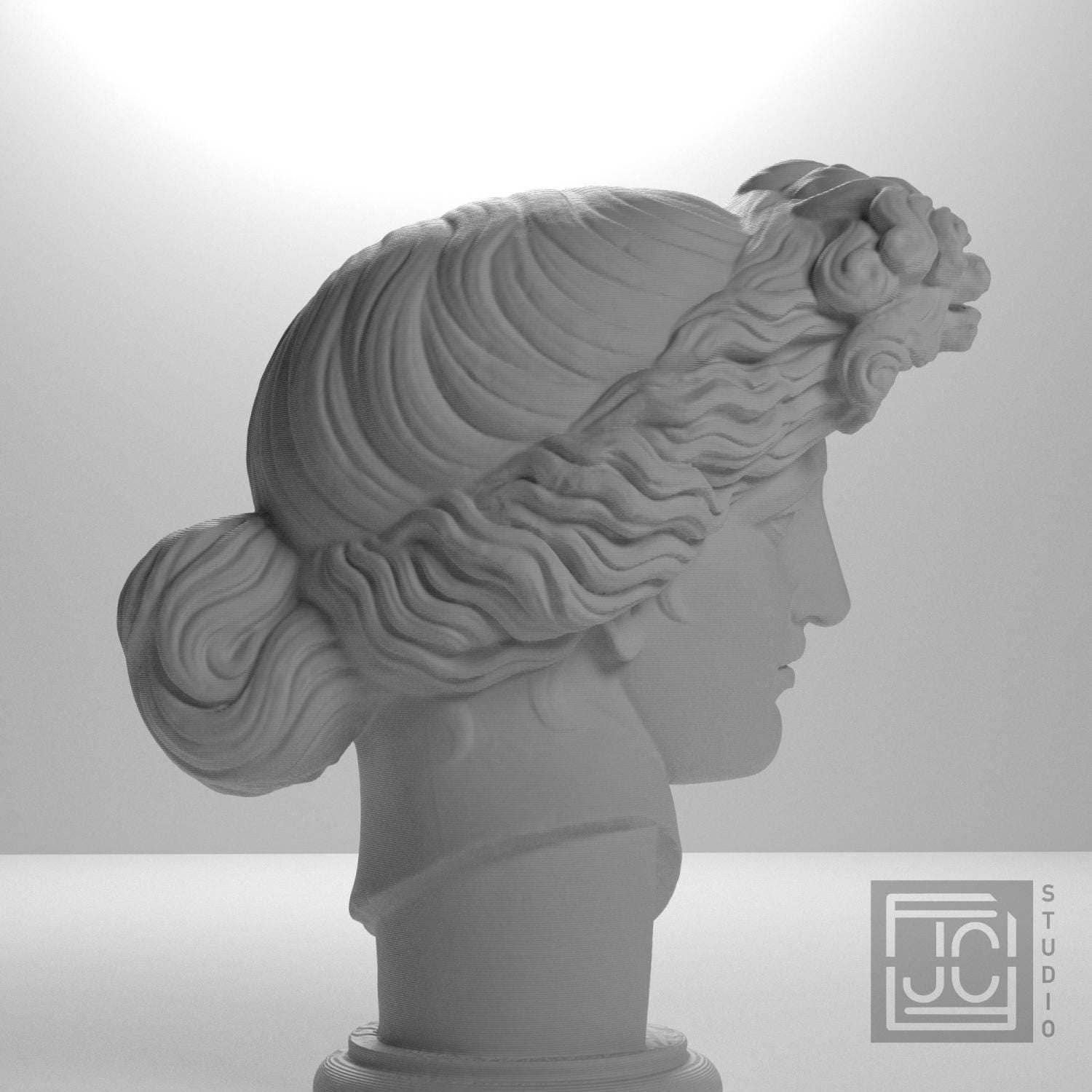 Apollo Giustiniani supplemental reference photo 7