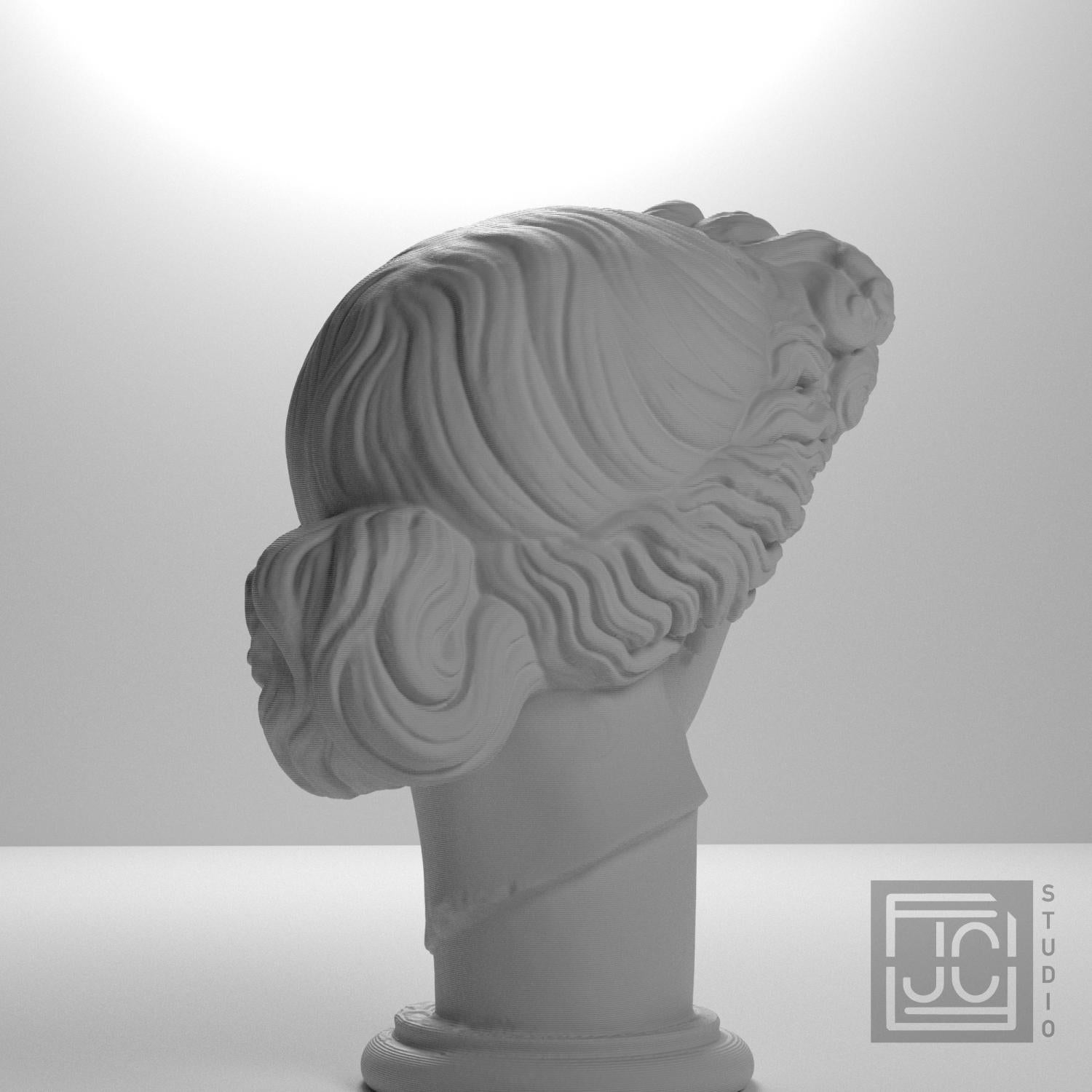 Apollo Giustiniani supplemental reference photo 8