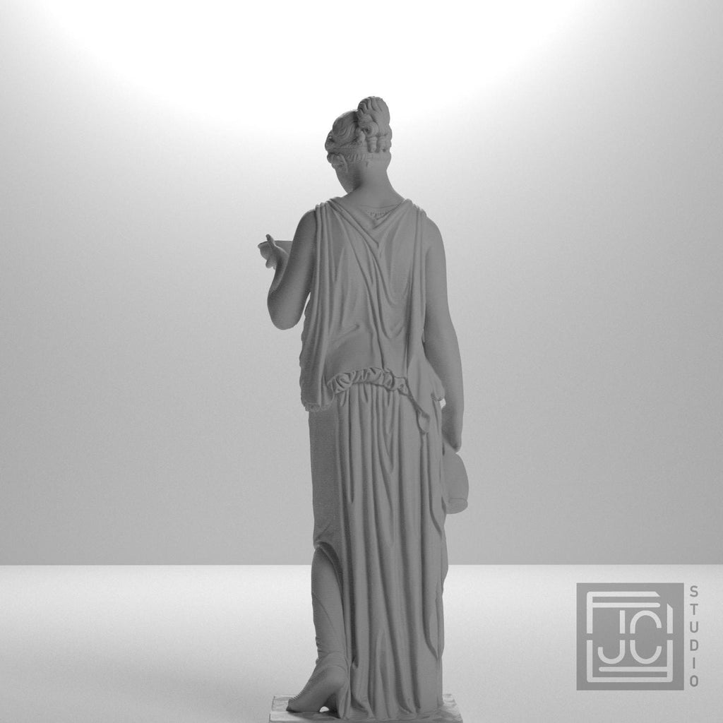 Hebe supplemental reference photo 9