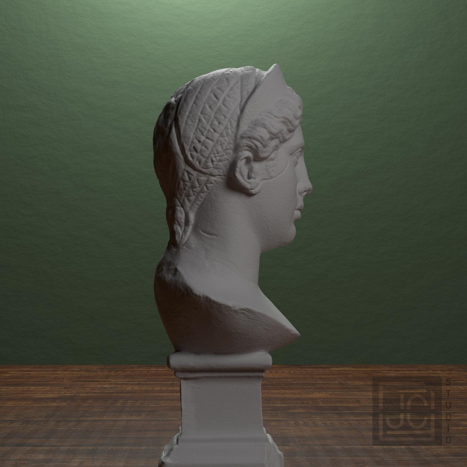 Juno supplemental reference photo 2