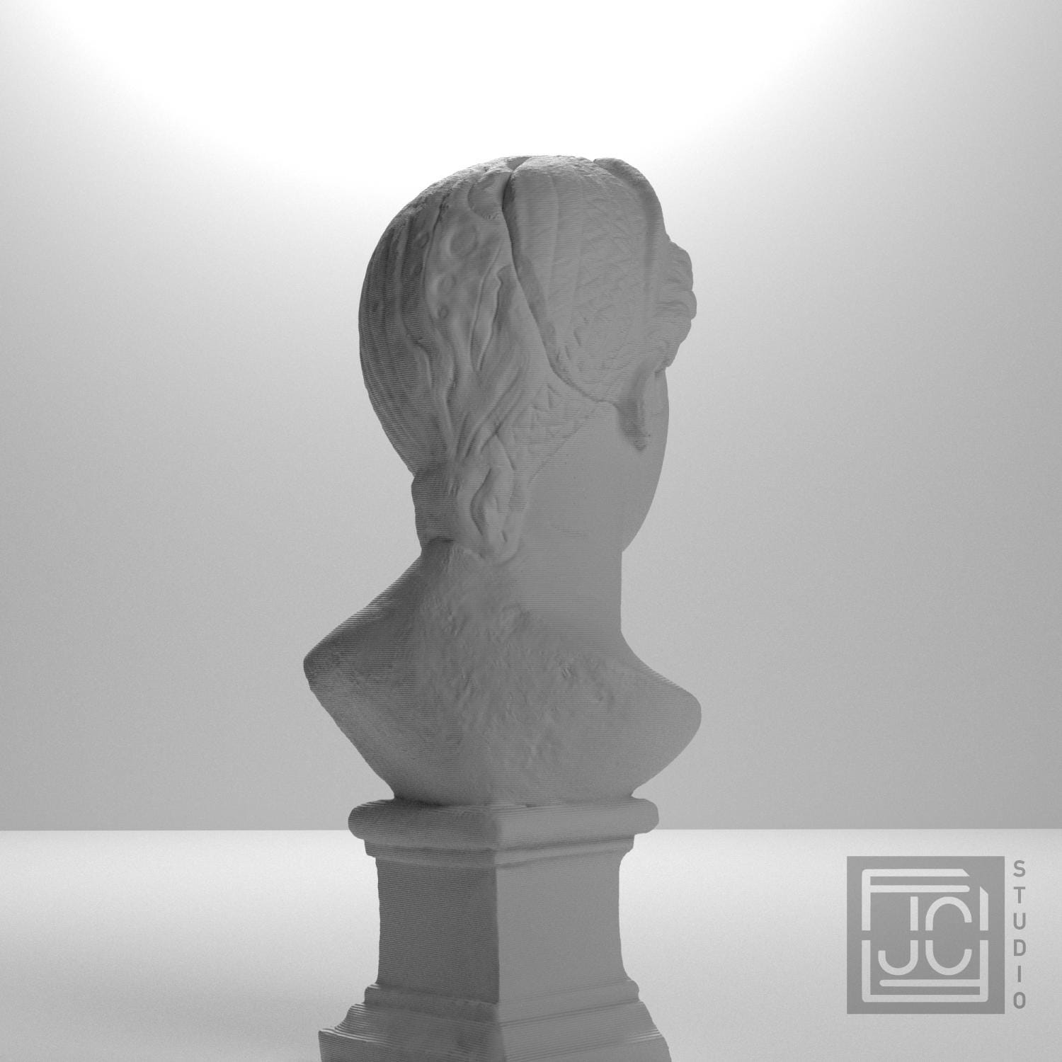 Juno supplemental reference photo 8