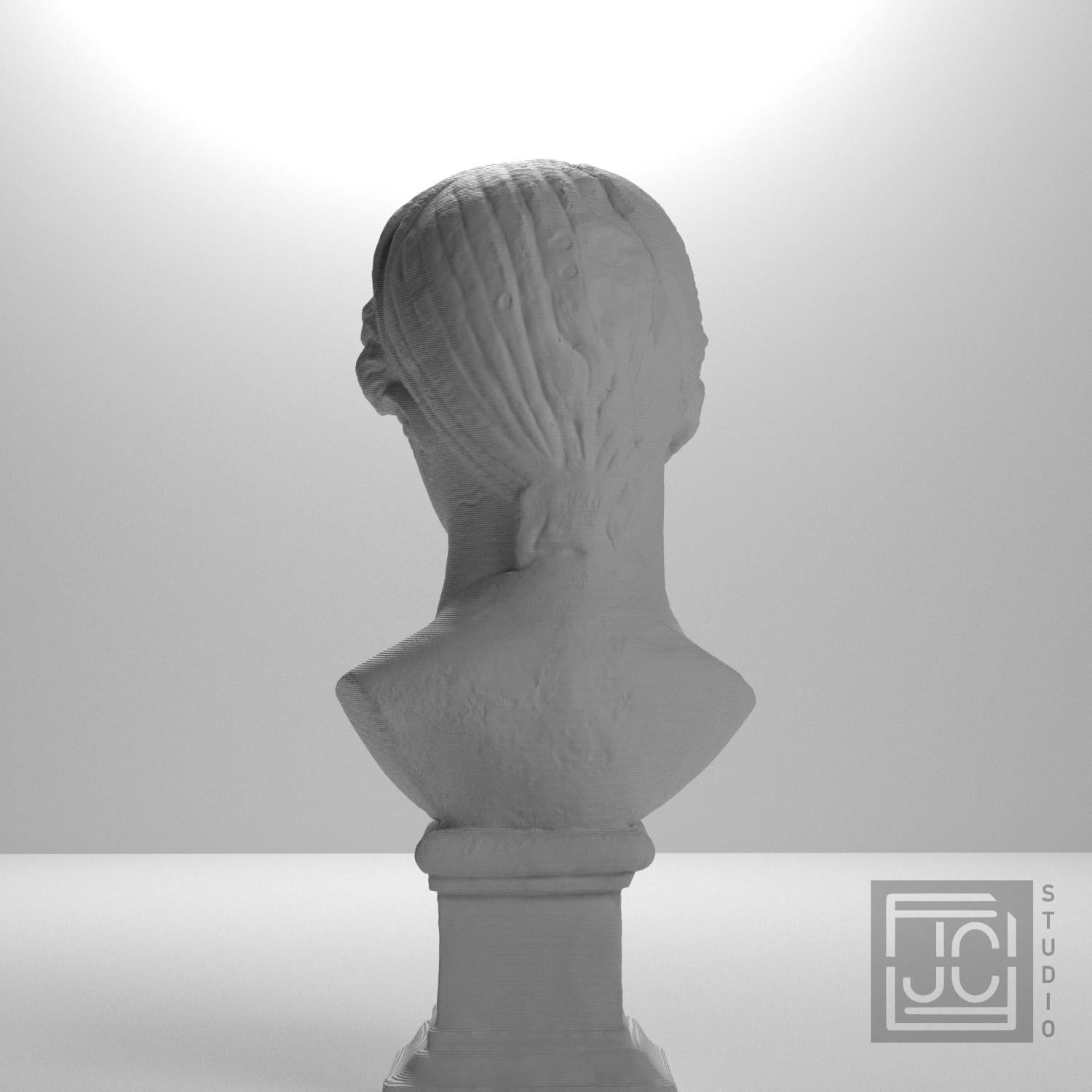 Juno supplemental reference photo 9