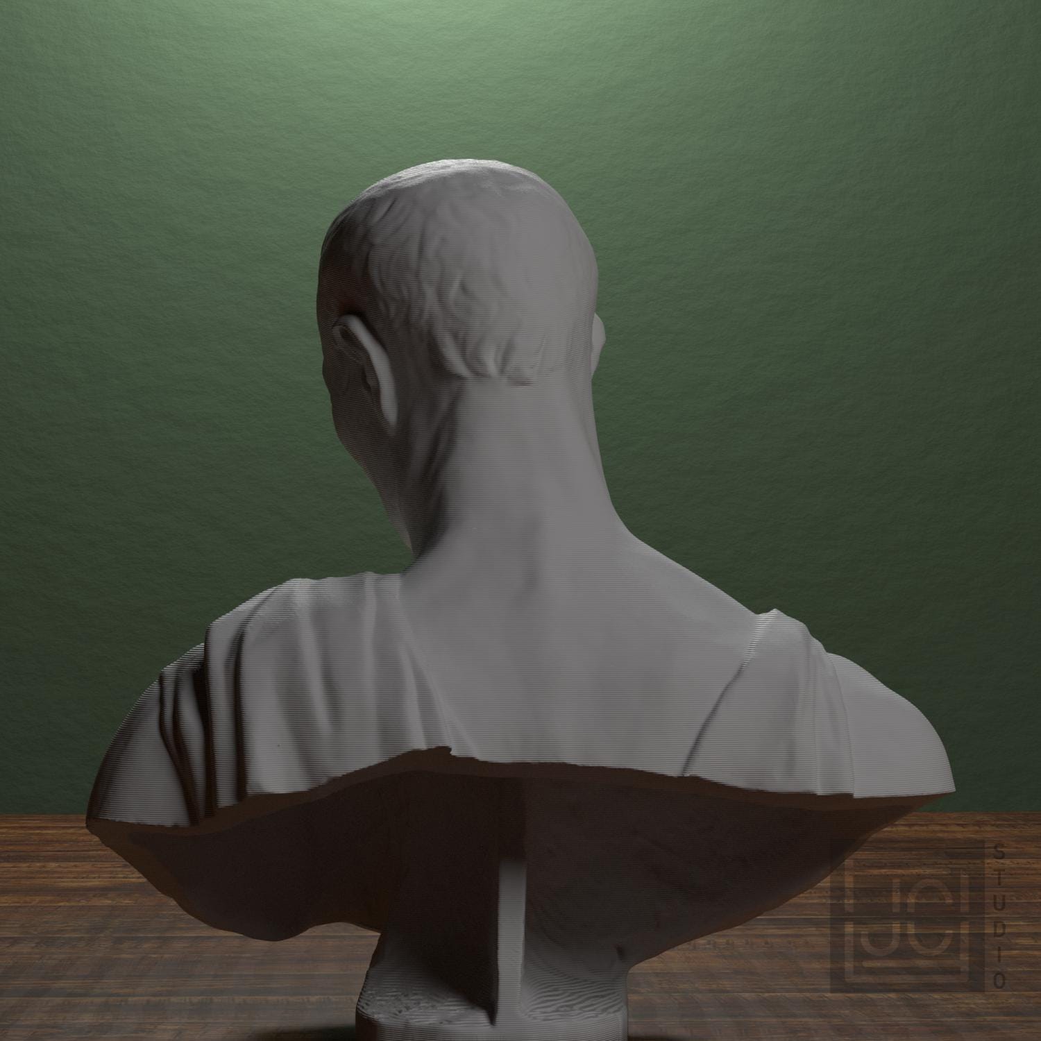 Bust supplemental reference photo 3
