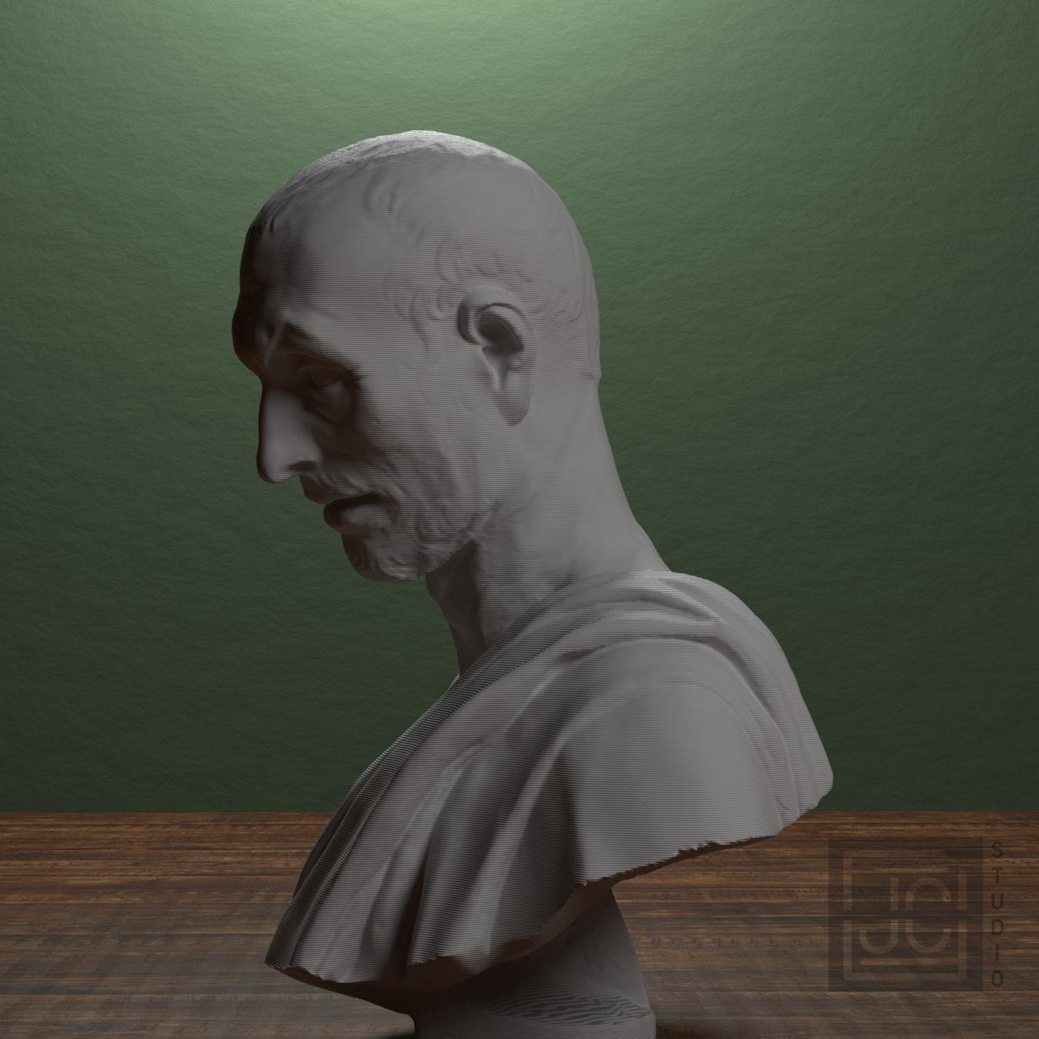Bust supplemental reference photo 4