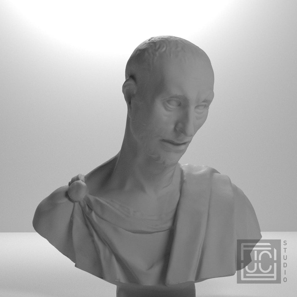Bust supplemental reference photo 5