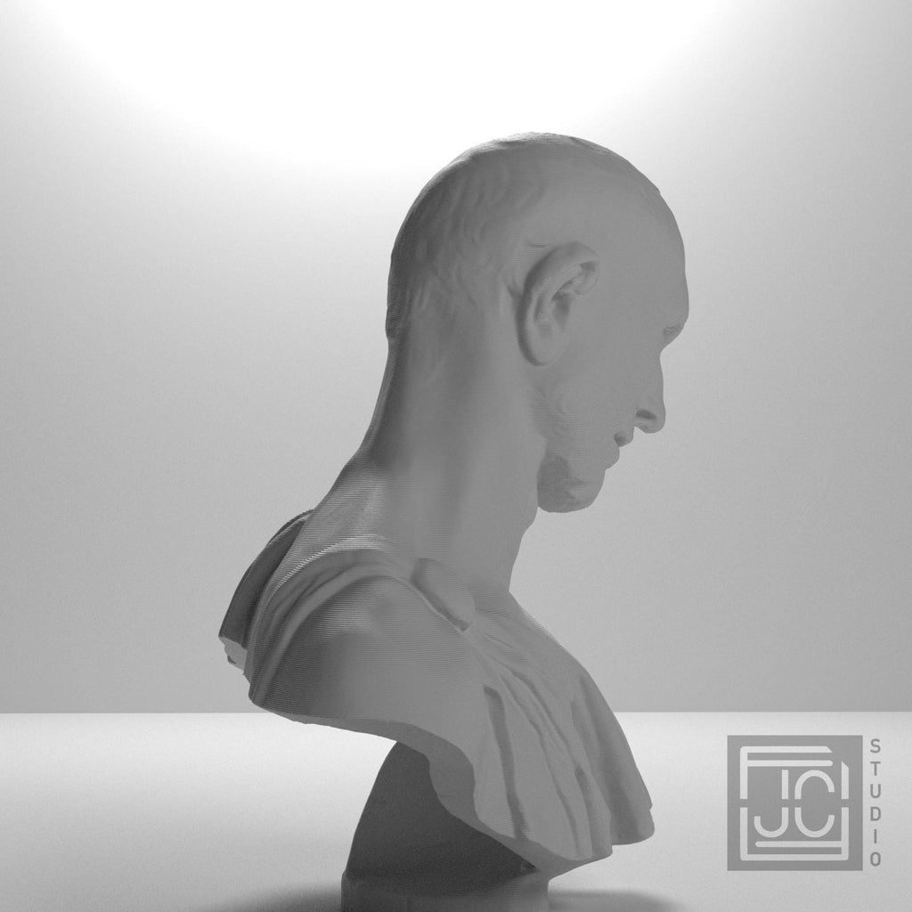 Bust supplemental reference photo 7