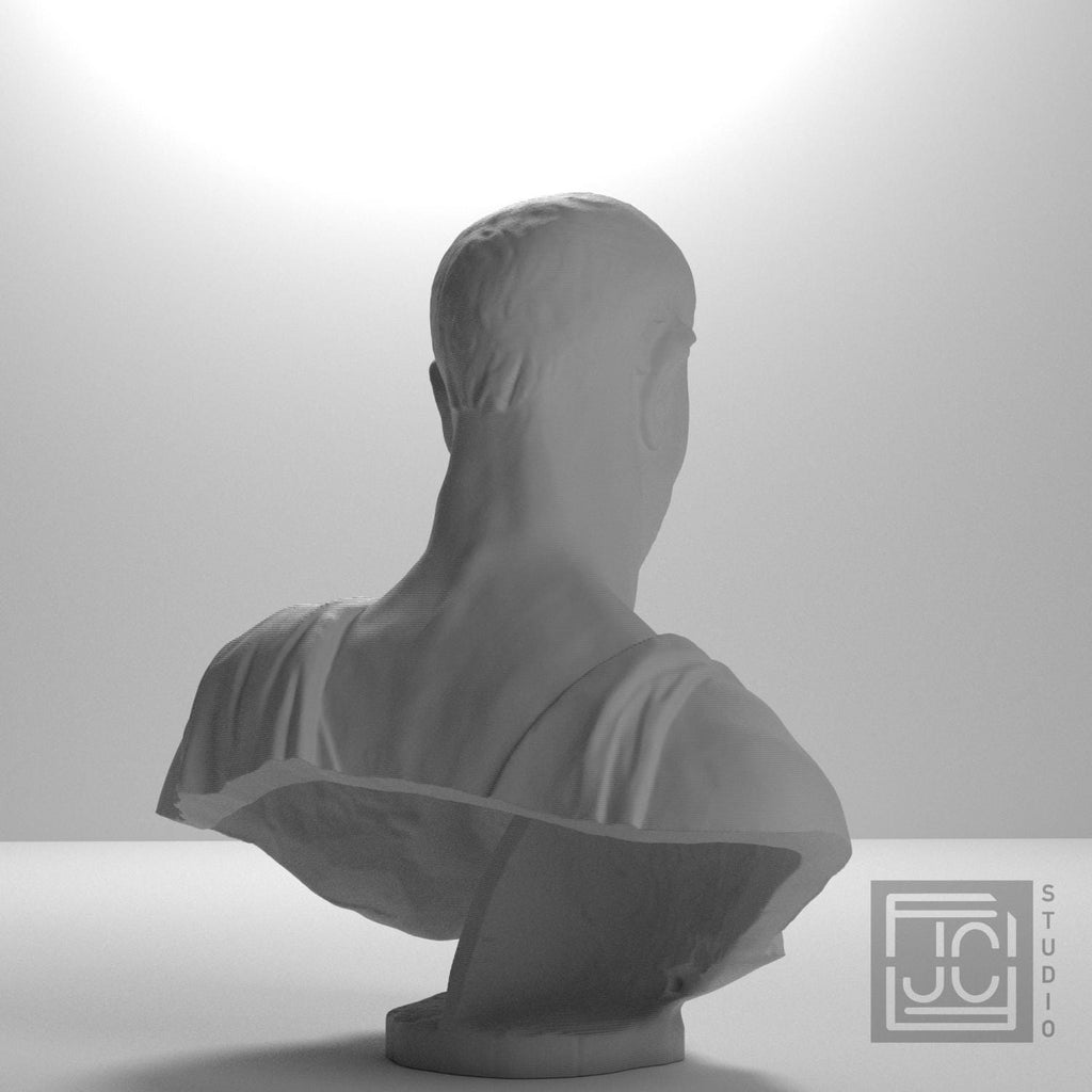 Bust supplemental reference photo 8