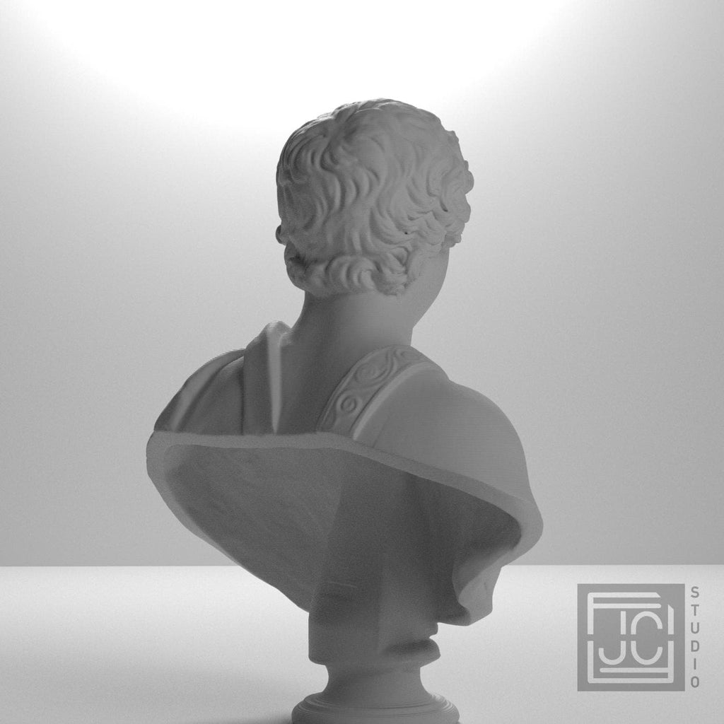 Portrait of Caracalla as a young man supplemental reference photo 8
