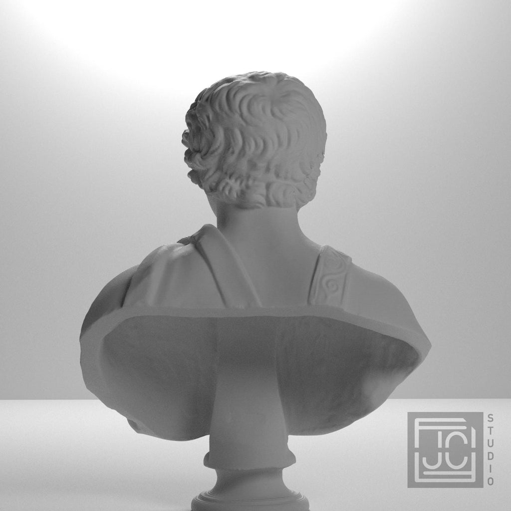 Portrait of Caracalla as a young man supplemental reference photo 9