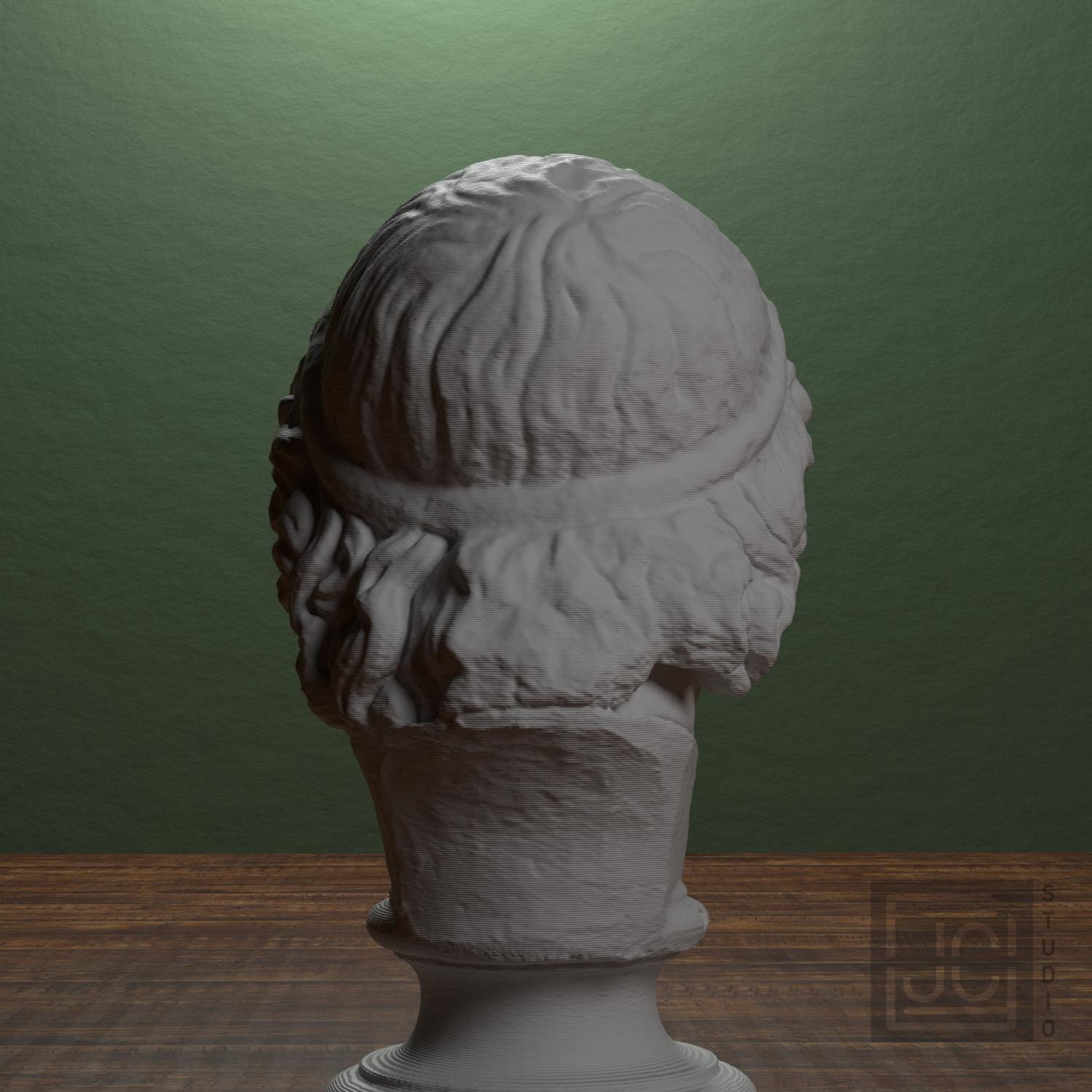 Bearded Deity Zeus supplemental reference photo 3