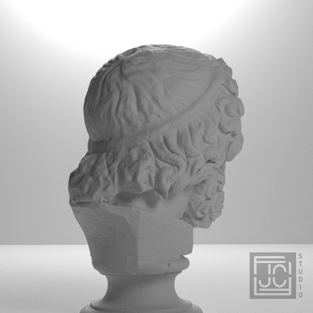 Bearded Deity Zeus supplemental reference photo 8