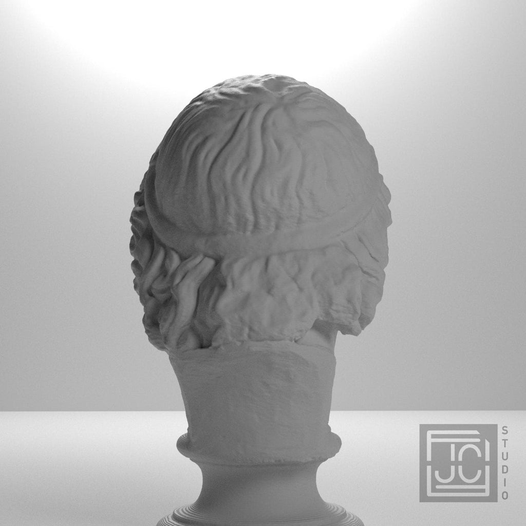 Bearded Deity Zeus supplemental reference photo 9