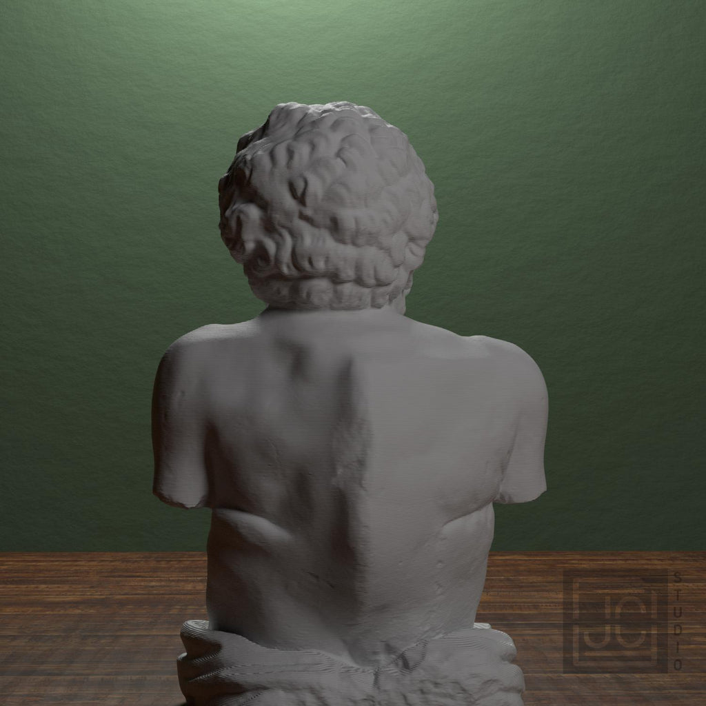 Aesop supplemental reference photo 3