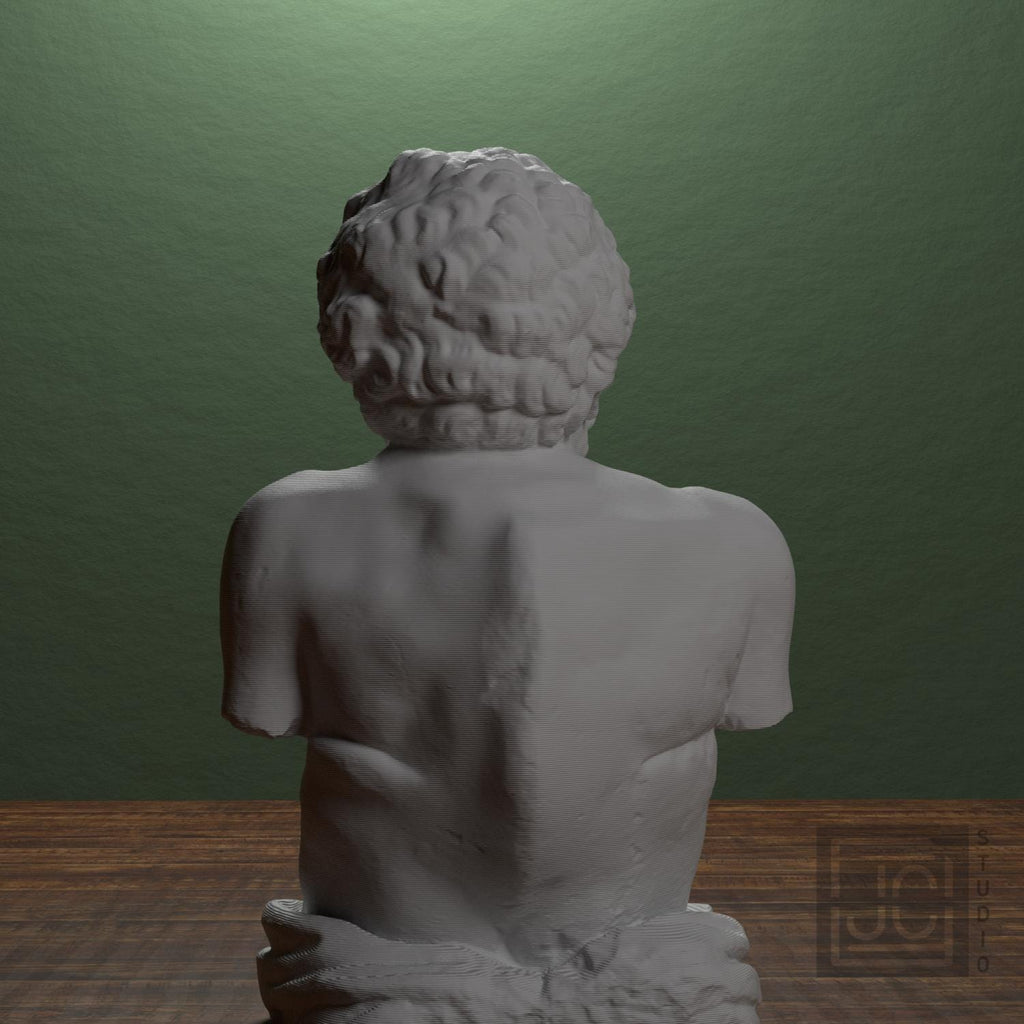 Aesop supplemental reference photo 3