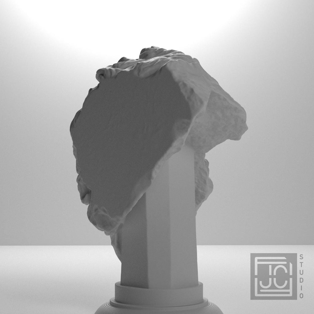 Head of a Giant supplemental reference photo 9
