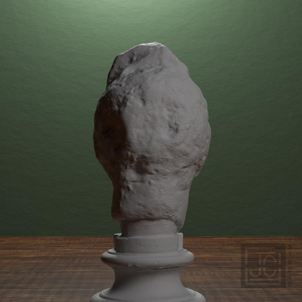 Apollo supplemental reference photo 3