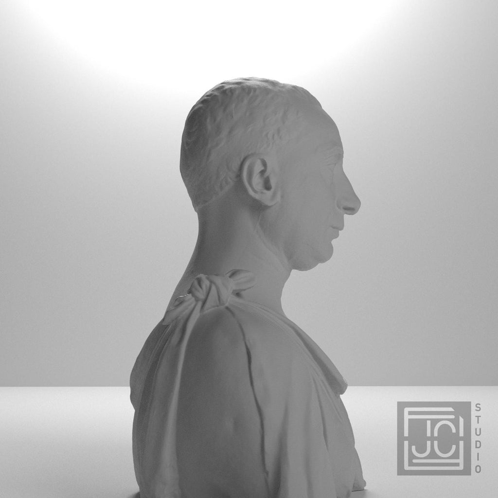 Bust of Francesco di Tommaso Sassetti supplemental reference photo 7