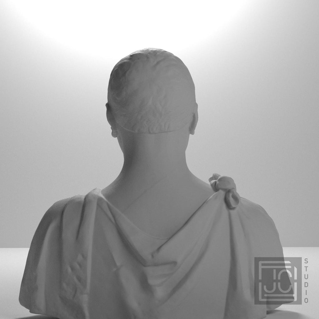 Bust of Francesco di Tommaso Sassetti supplemental reference photo 9
