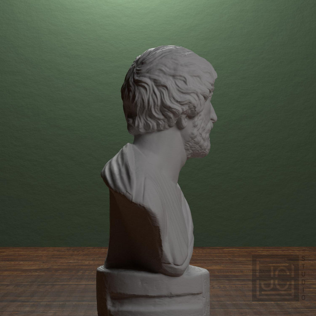 Portrait bust of a Barbarian supplemental reference photo 2