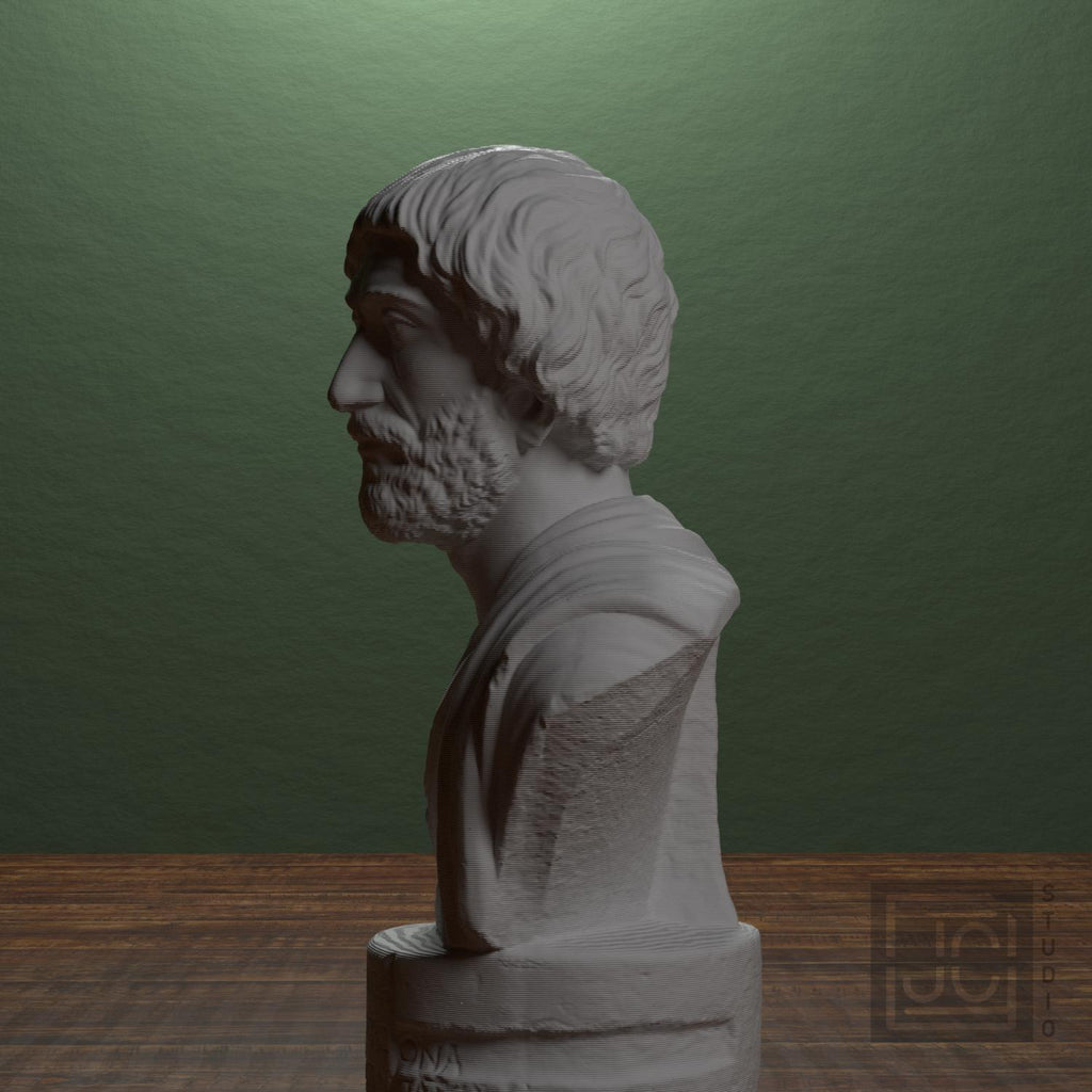 Portrait bust of a Barbarian supplemental reference photo 4