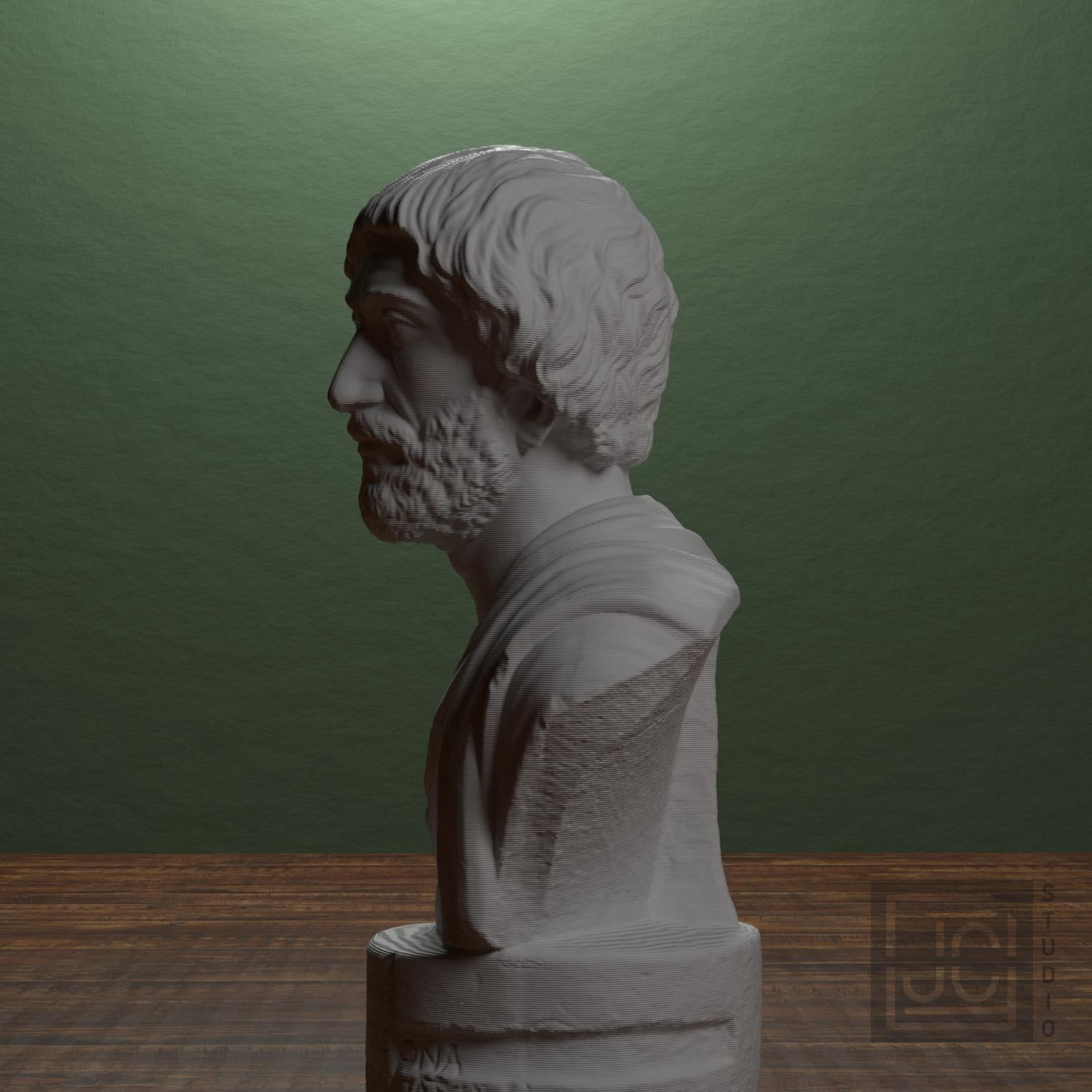 Portrait bust of a Barbarian supplemental reference photo 4