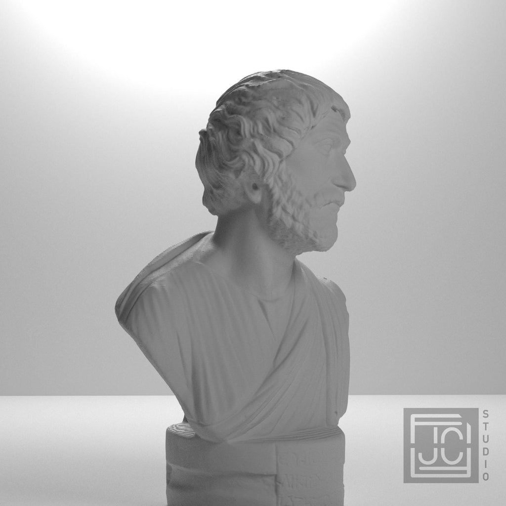 Portrait bust of a Barbarian supplemental reference photo 6