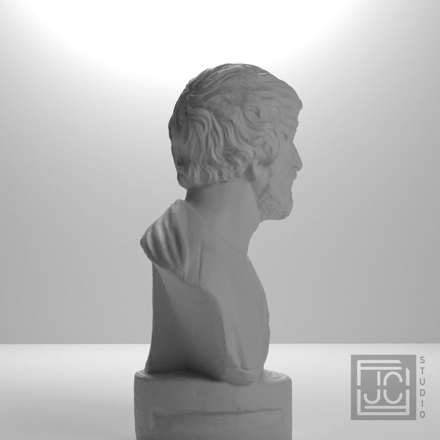 Portrait bust of a Barbarian supplemental reference photo 7