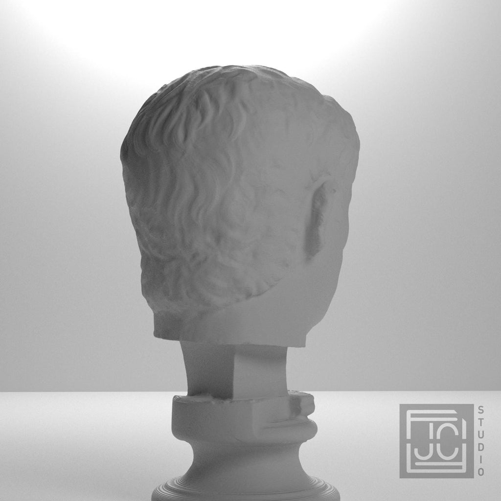 Claudius supplemental reference photo 8