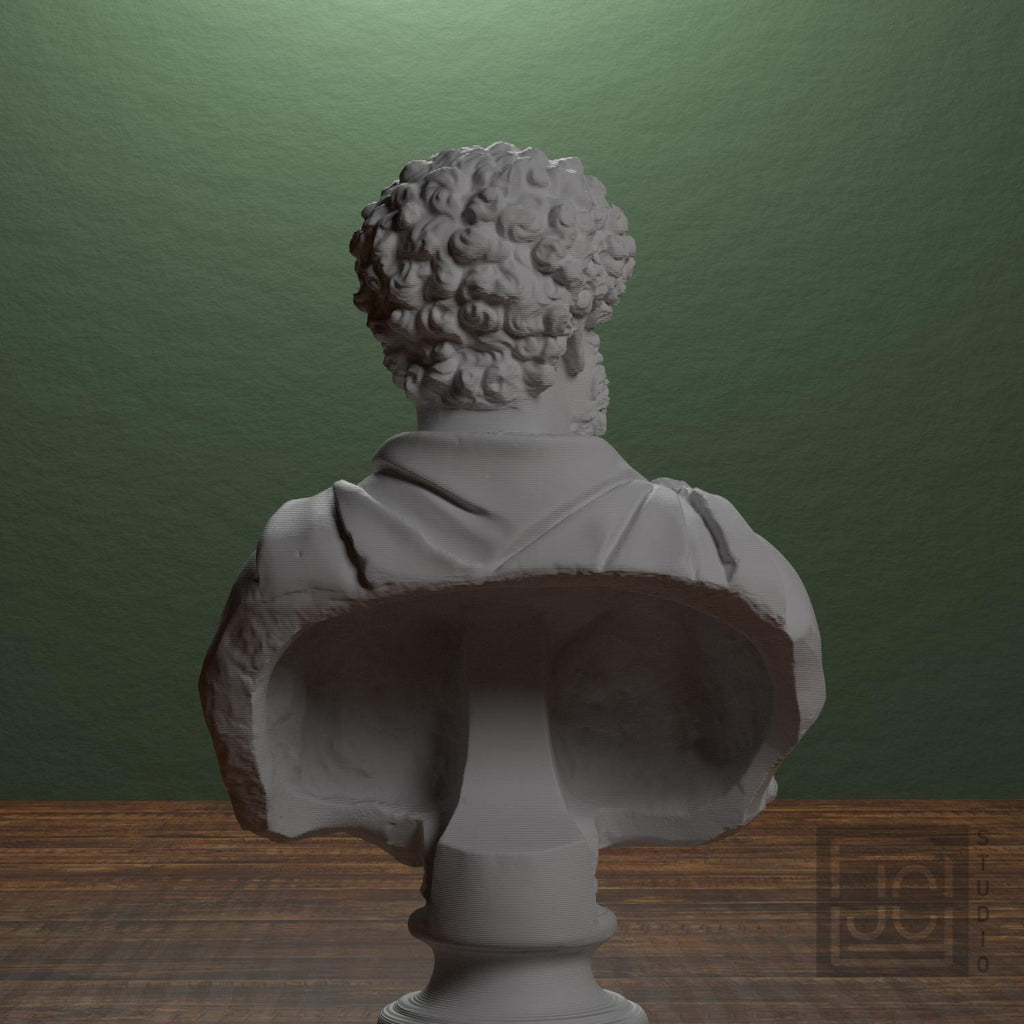 Draped bust of a man formerly known as Clodius Albinus supplemental reference photo 3