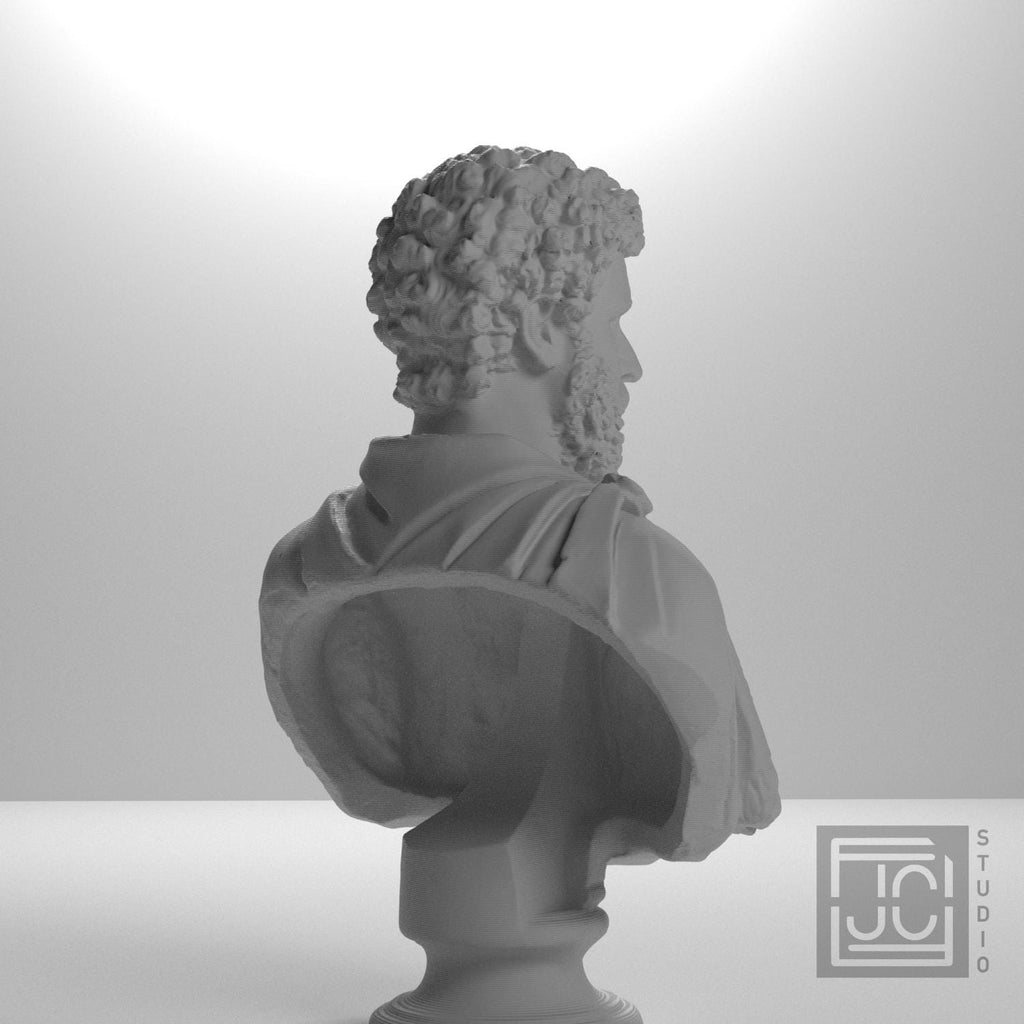 Draped bust of a man formerly known as Clodius Albinus supplemental reference photo 8