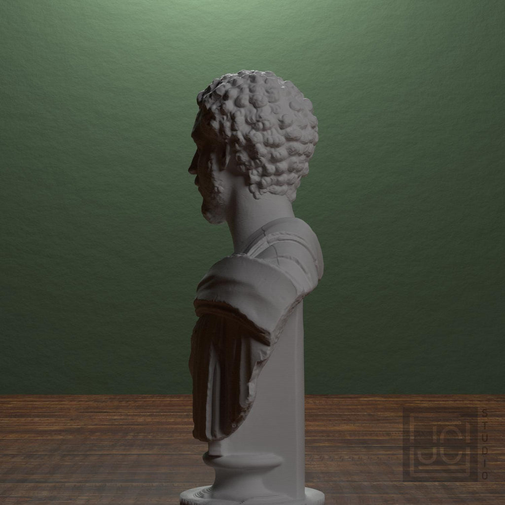 Portrait of a Man (Septimius Severus?) supplemental reference photo 4