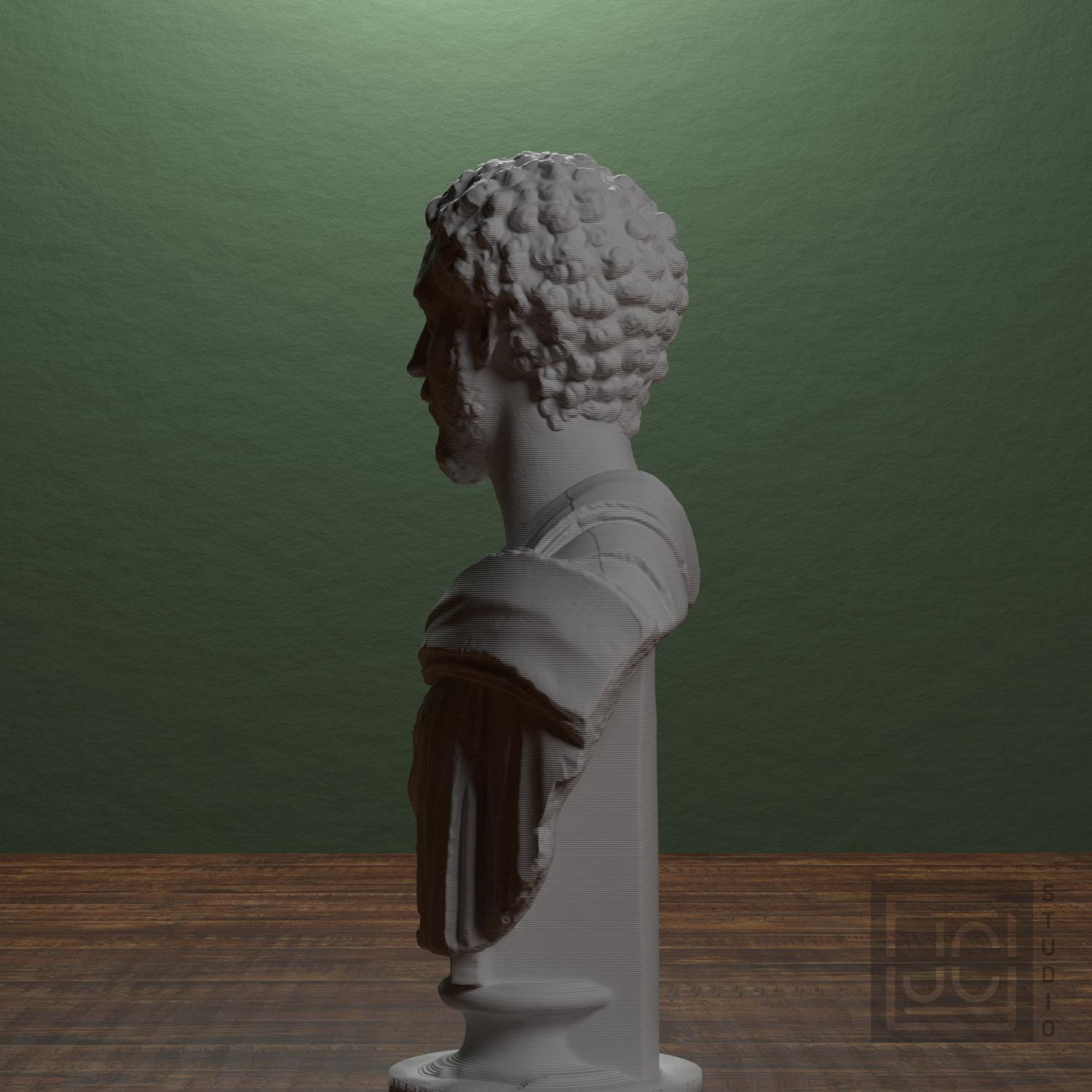 Portrait of a Man (Septimius Severus?) supplemental reference photo 4