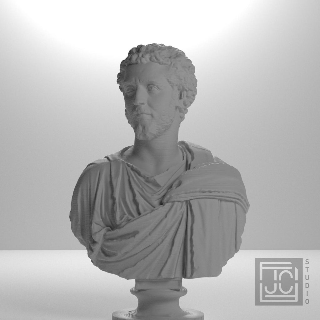 Portrait of a Man (Septimius Severus?) supplemental reference photo 5