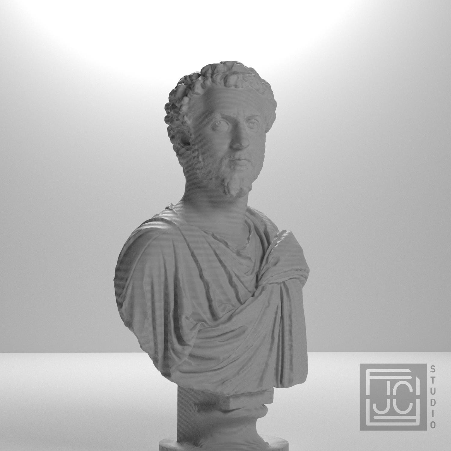 Portrait of a Man (Septimius Severus?) supplemental reference photo 6