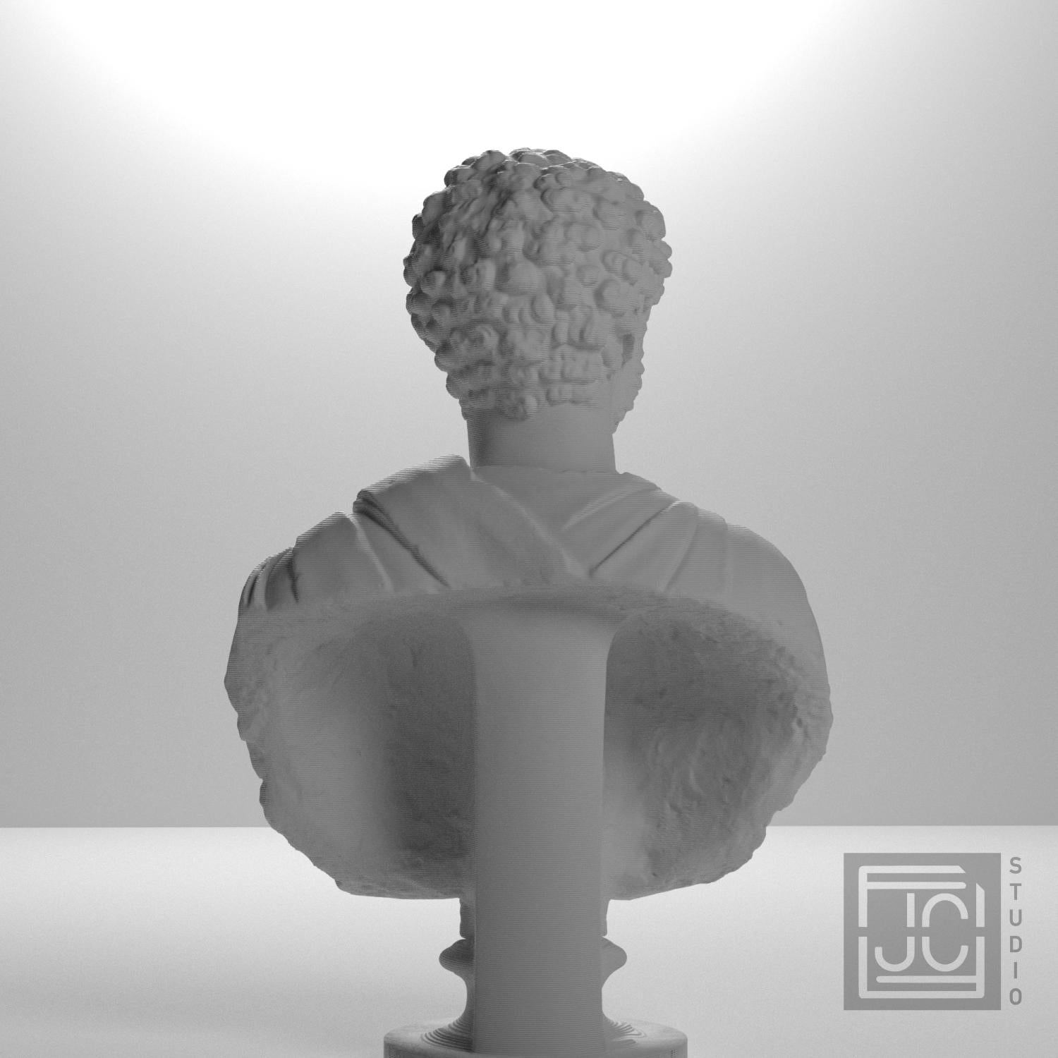 Portrait of a Man (Septimius Severus?) supplemental reference photo 9