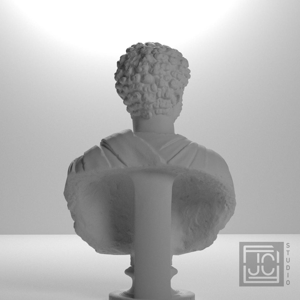 Portrait of a Man (Septimius Severus?) supplemental reference photo 9