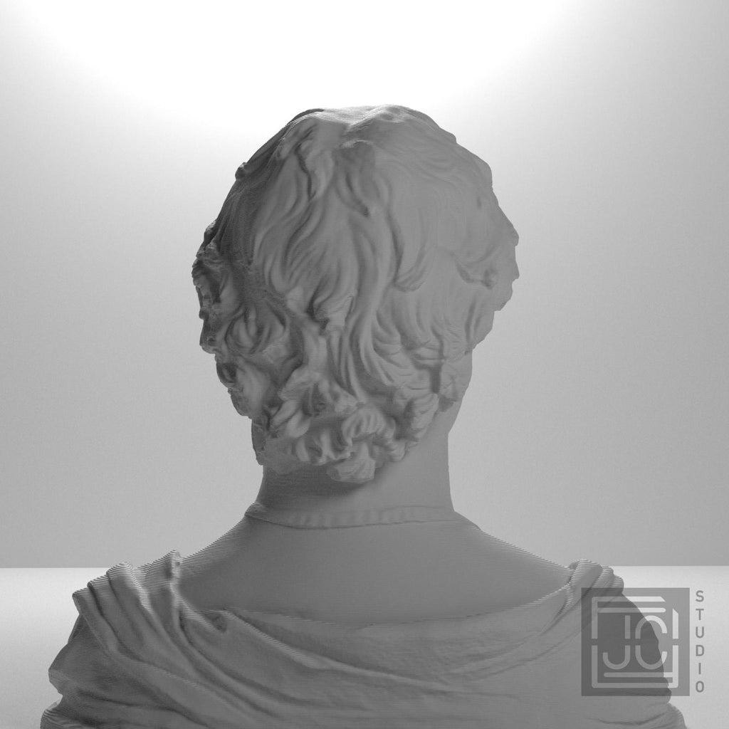 Bust of a Young Man with a Medallion supplemental reference photo 9