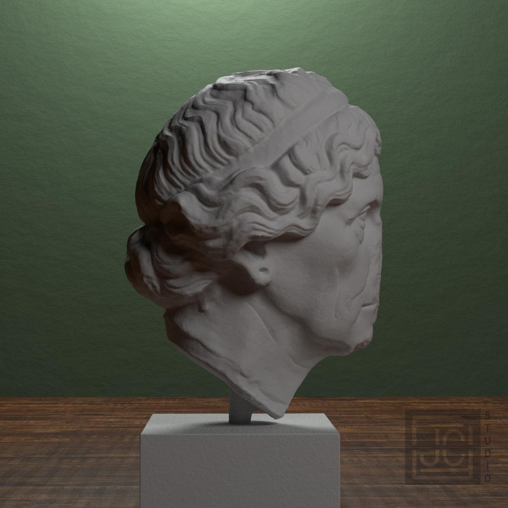 Elderly woman Lysimache supplemental reference photo 2