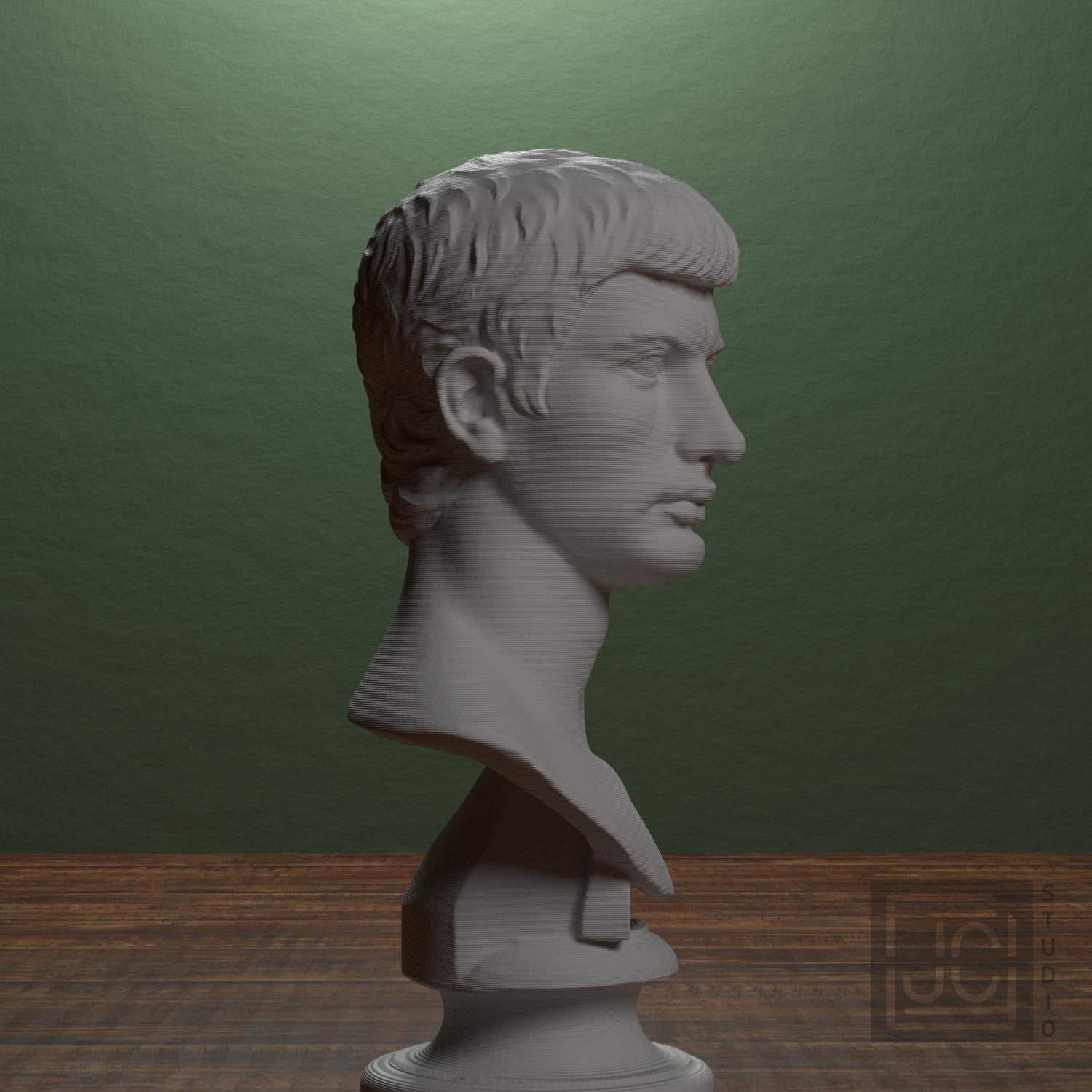 Portrait of an Augustine Prince Marcellus (?) supplemental reference photo 2