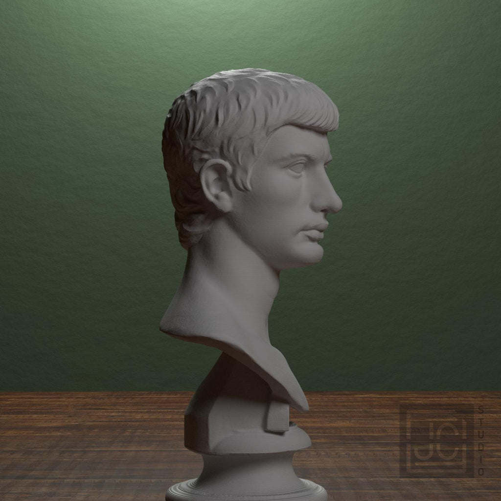 Portrait of an Augustine Prince Marcellus (?) supplemental reference photo 2